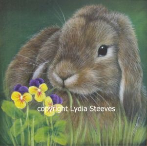 Little Bun Bun Acrylic e-Packet